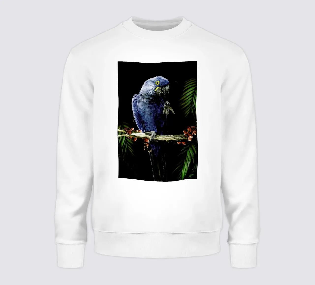 Macaw felpa da Wouter Rikken