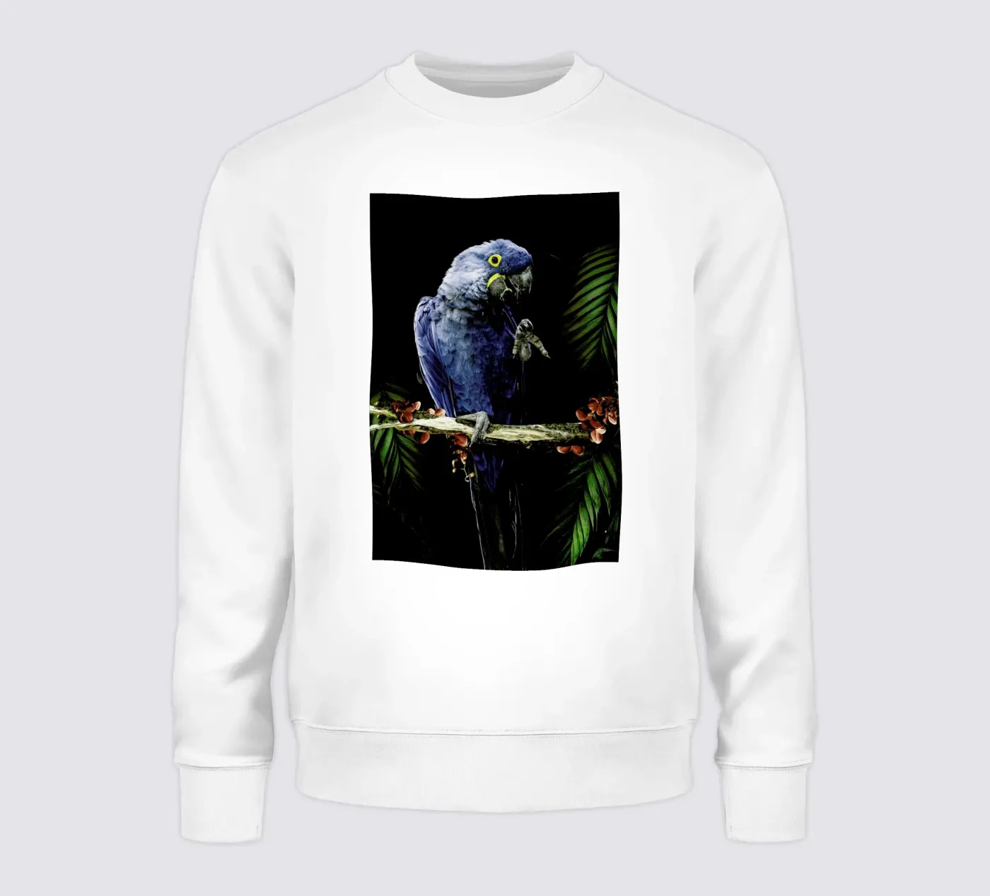 Macaw felpa da Wouter Rikken