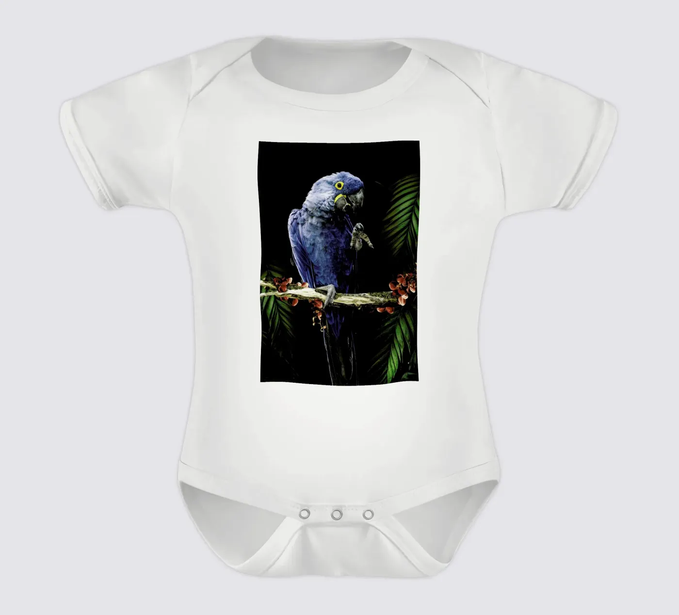 Macaw body bébé de Wouter Rikken