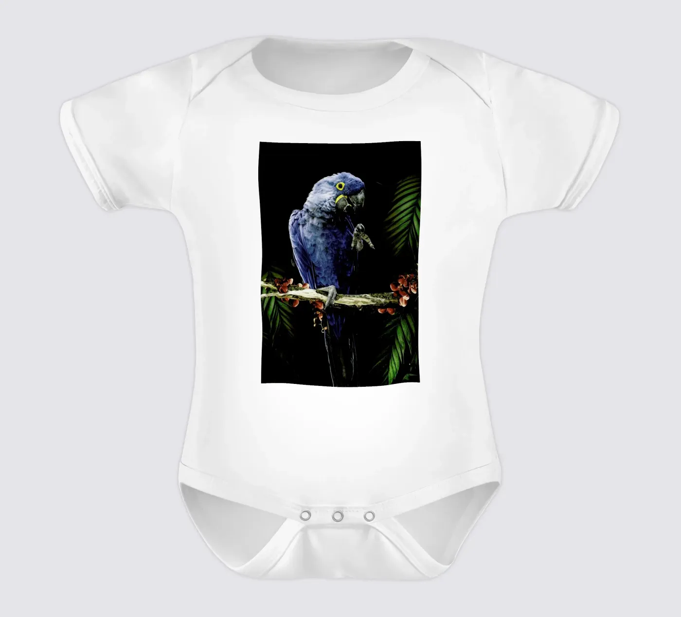 Macaw body bébé de Wouter Rikken