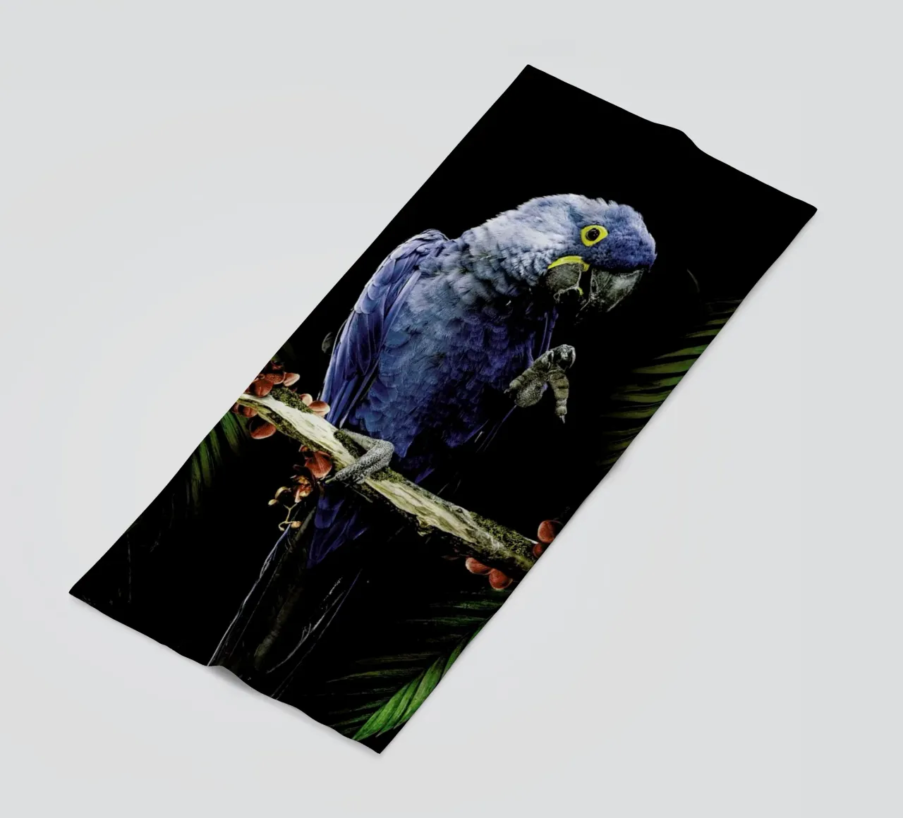 Macaw telo mare da Wouter Rikken