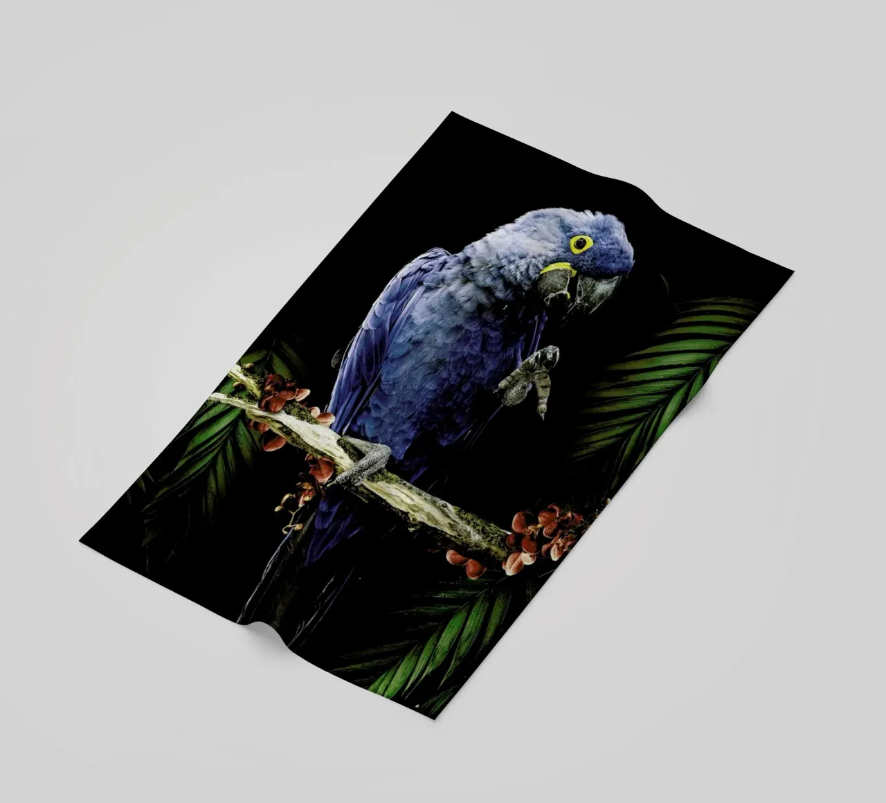 Macaw beach towel by Wouter Rikken