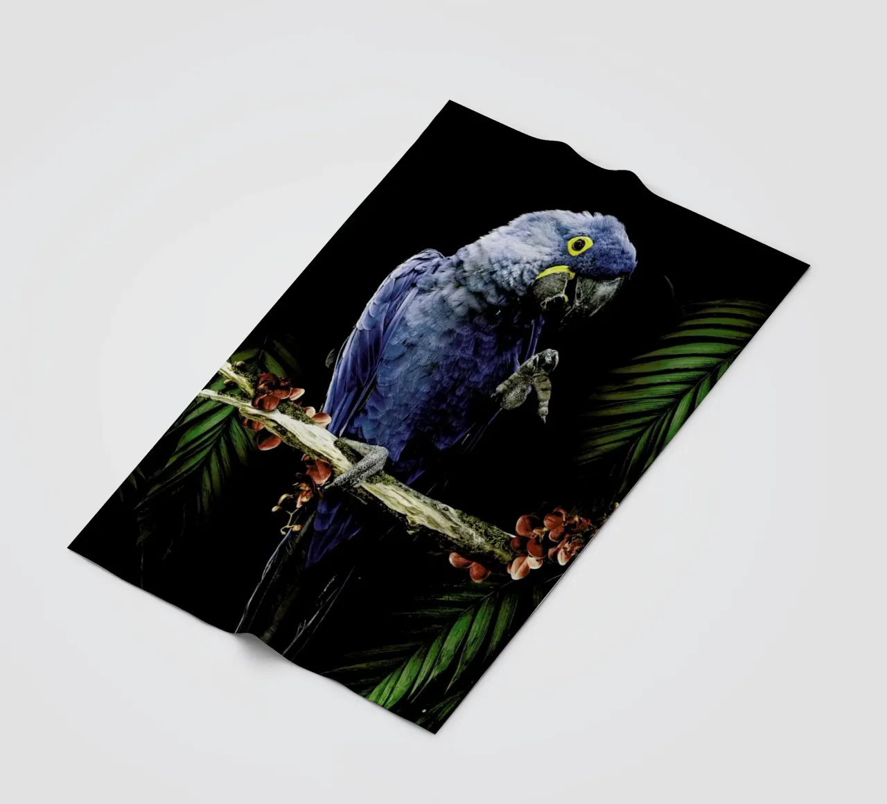 Macaw fleecedeken van Wouter Rikken