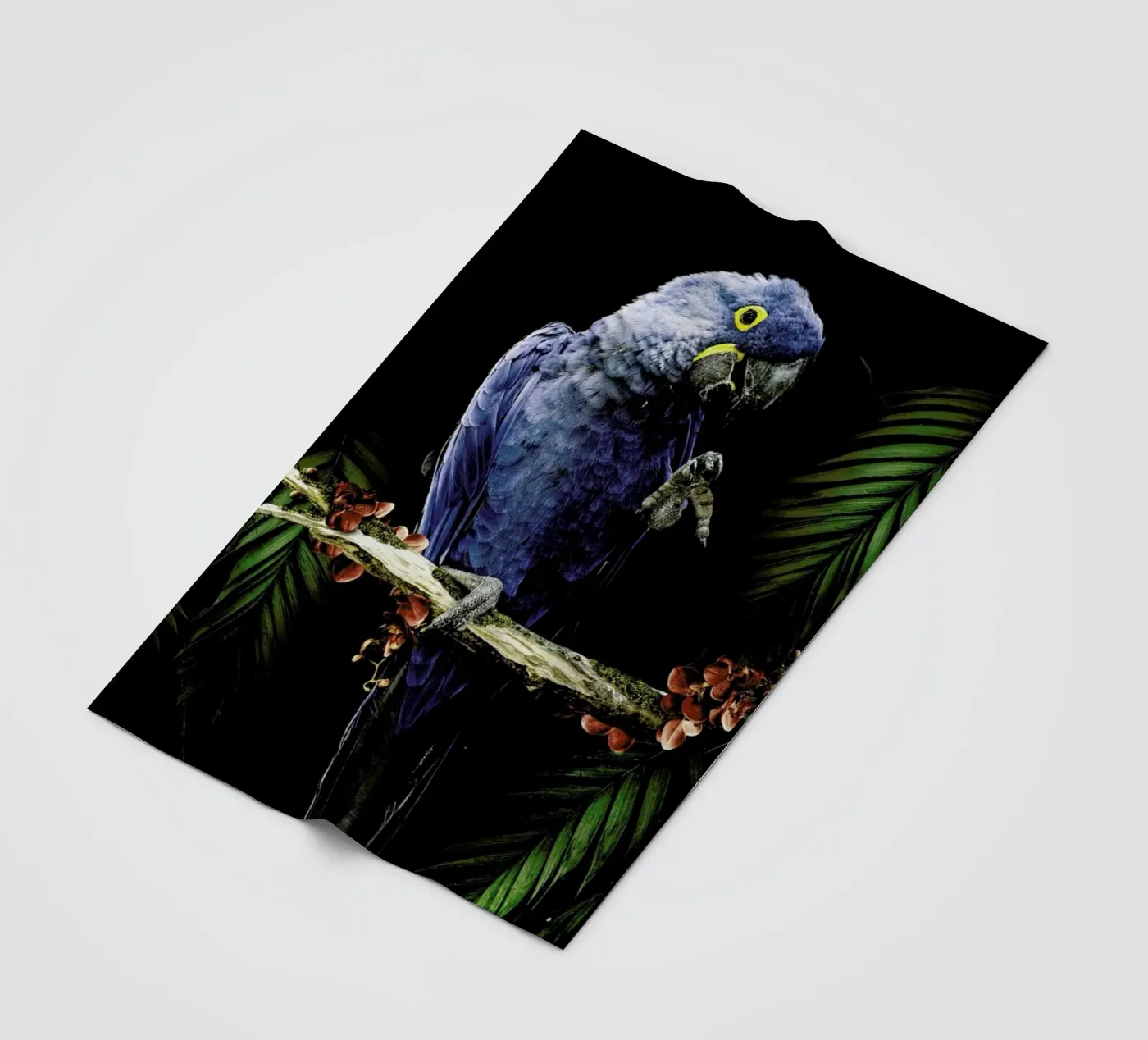 Macaw Fleecedecke von Wouter Rikken