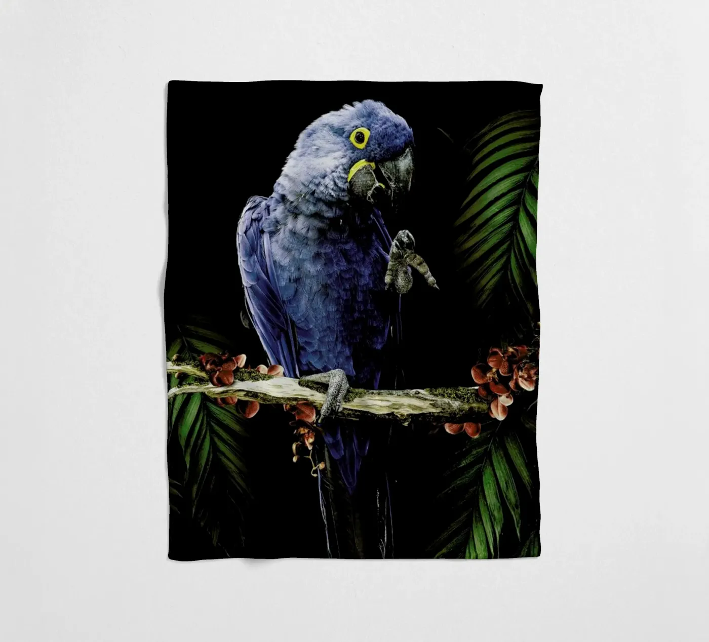 Macaw Fleecedecke von Wouter Rikken