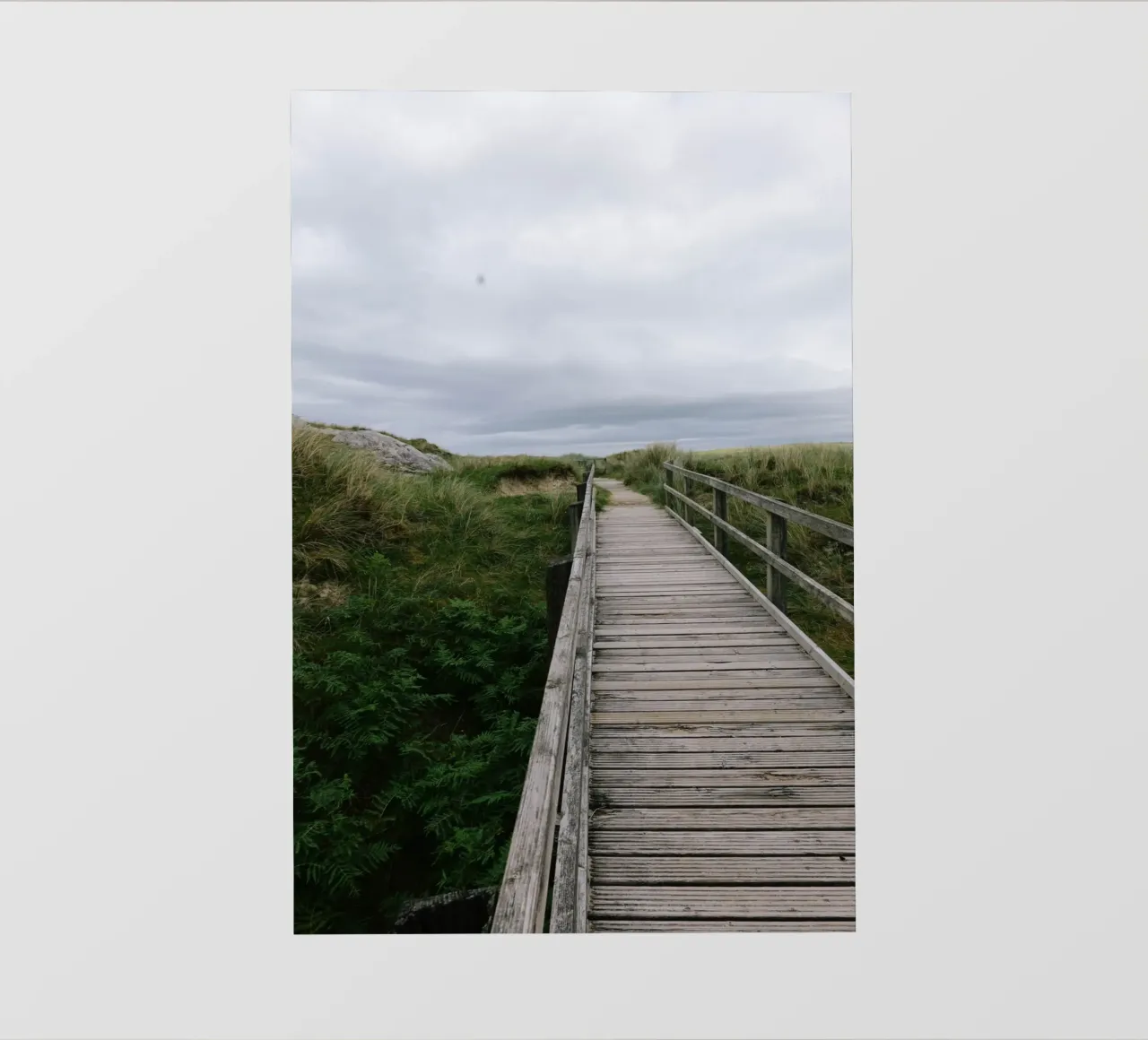Weg durchs Wilde lonas publicitarias de The Wild Creative Studio