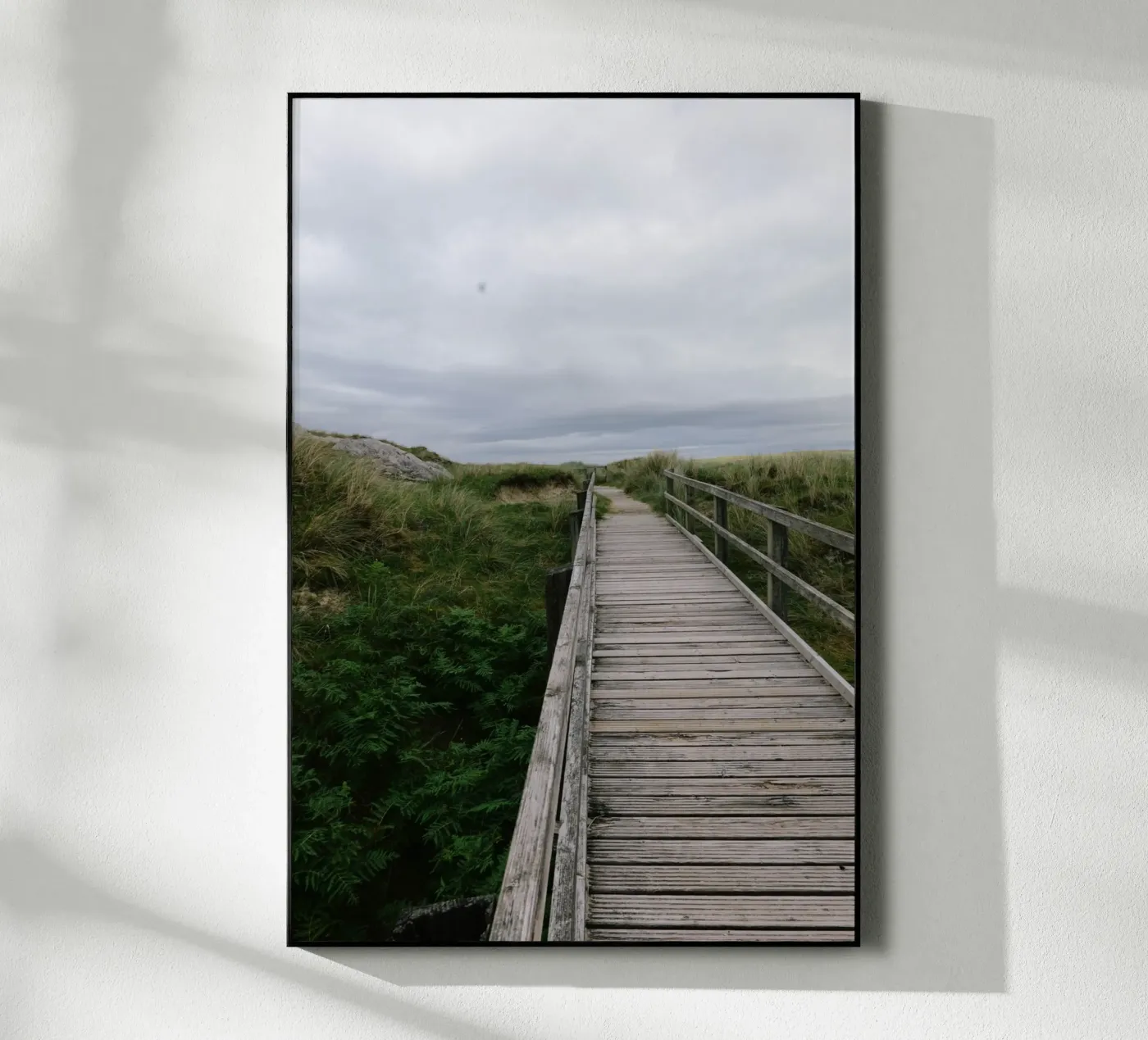 Weg durchs Wilde plexiglass da Wild Coast Studio