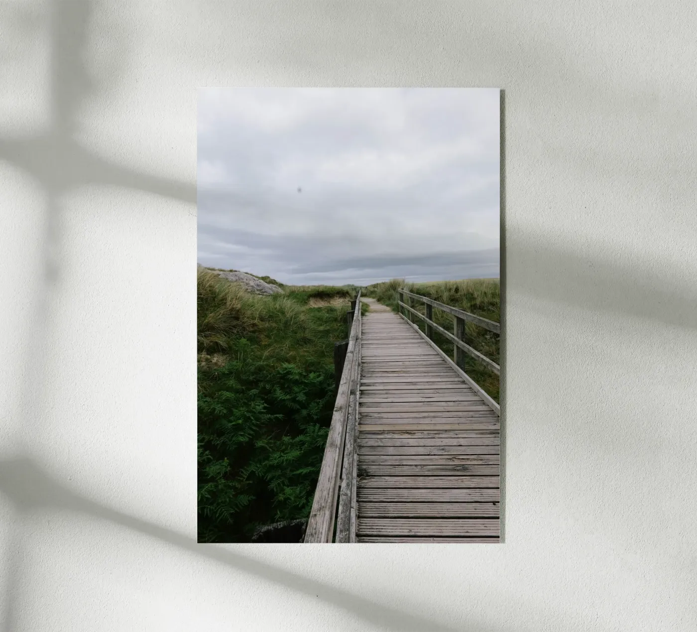 Weg durchs Wilde plexiglass da Wild Coast Studio