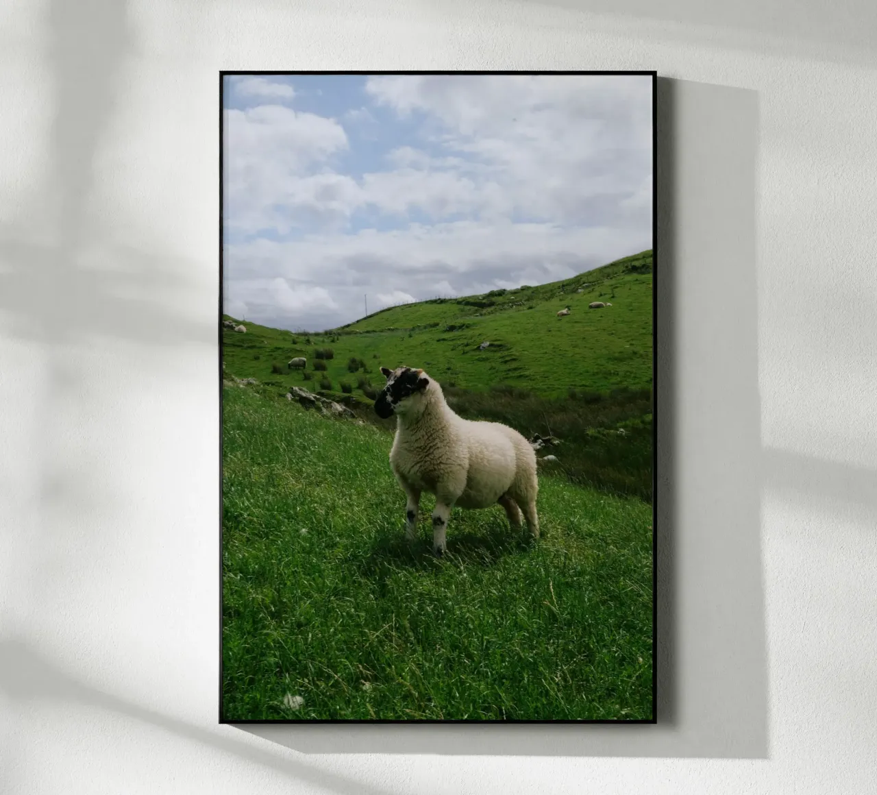 Happy Sheep plexiglass da Wild Coast Studio