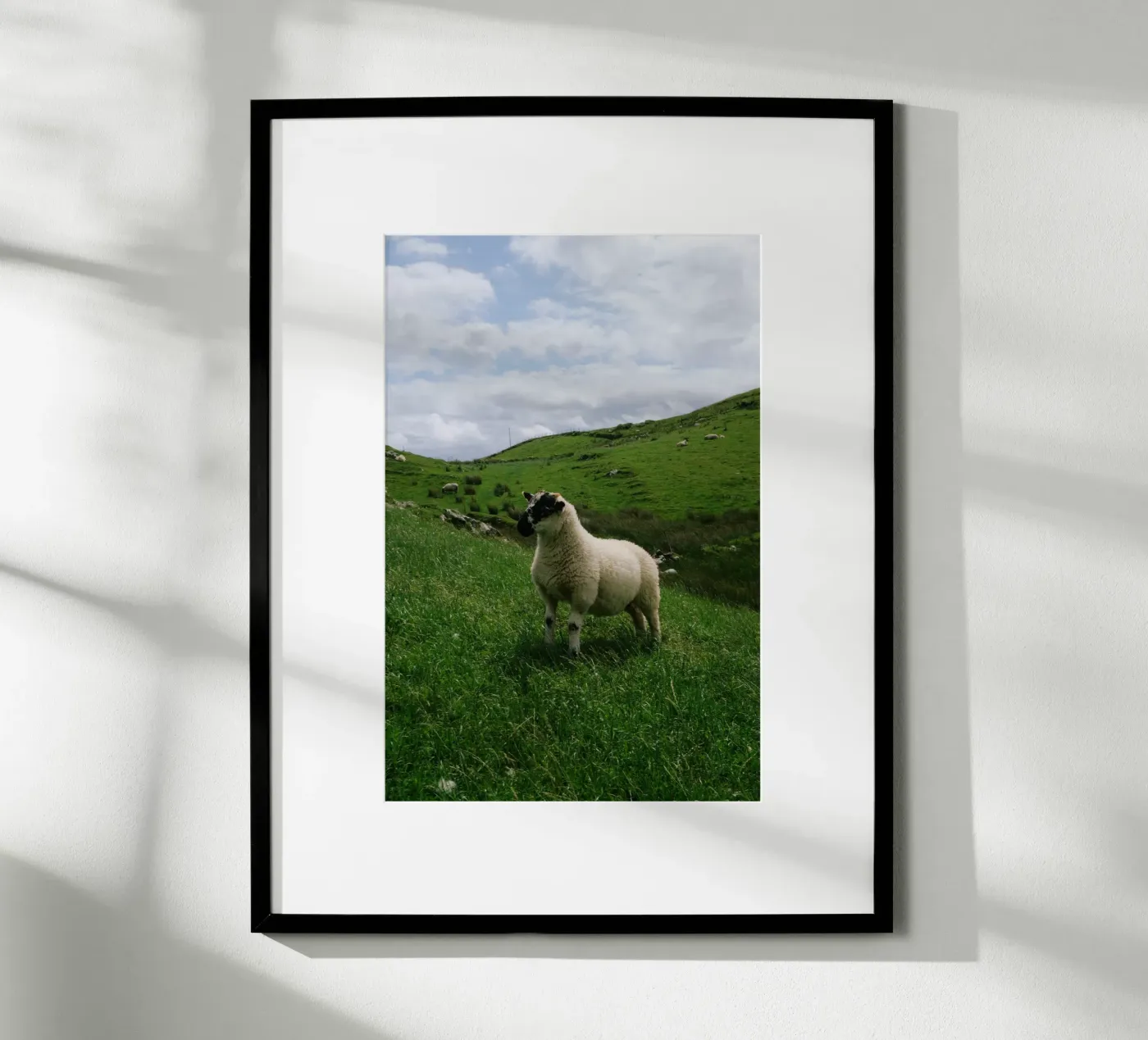 Happy Sheep poster da Wild Coast Studio