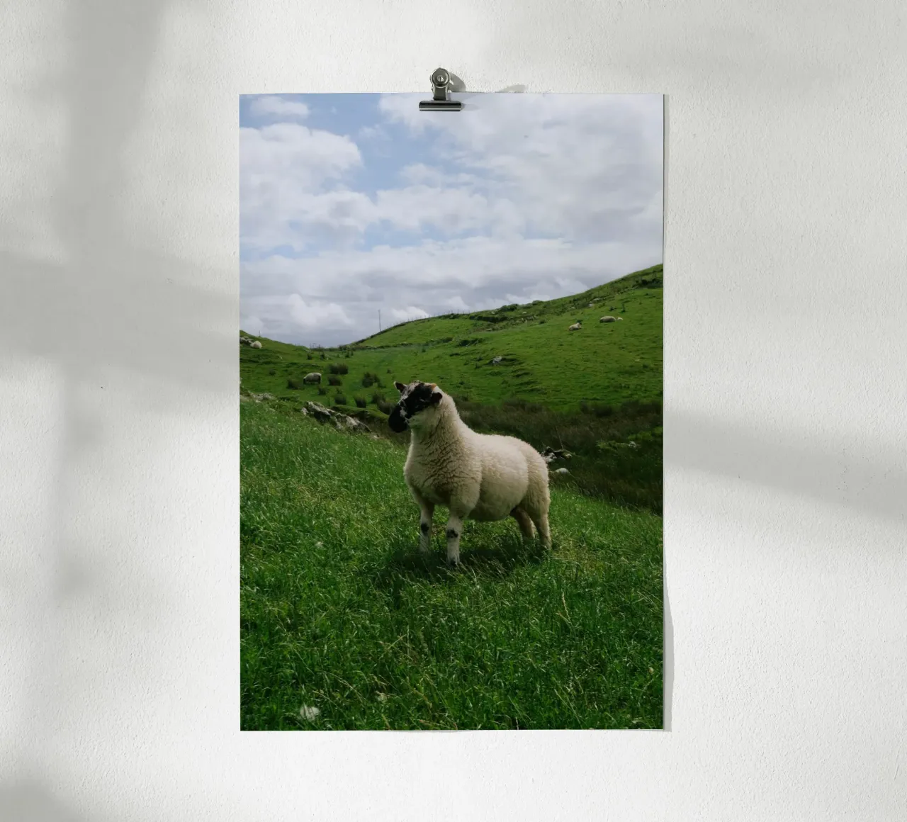 Happy Sheep poster con telaio in plastica da The Wild Creative Studio
