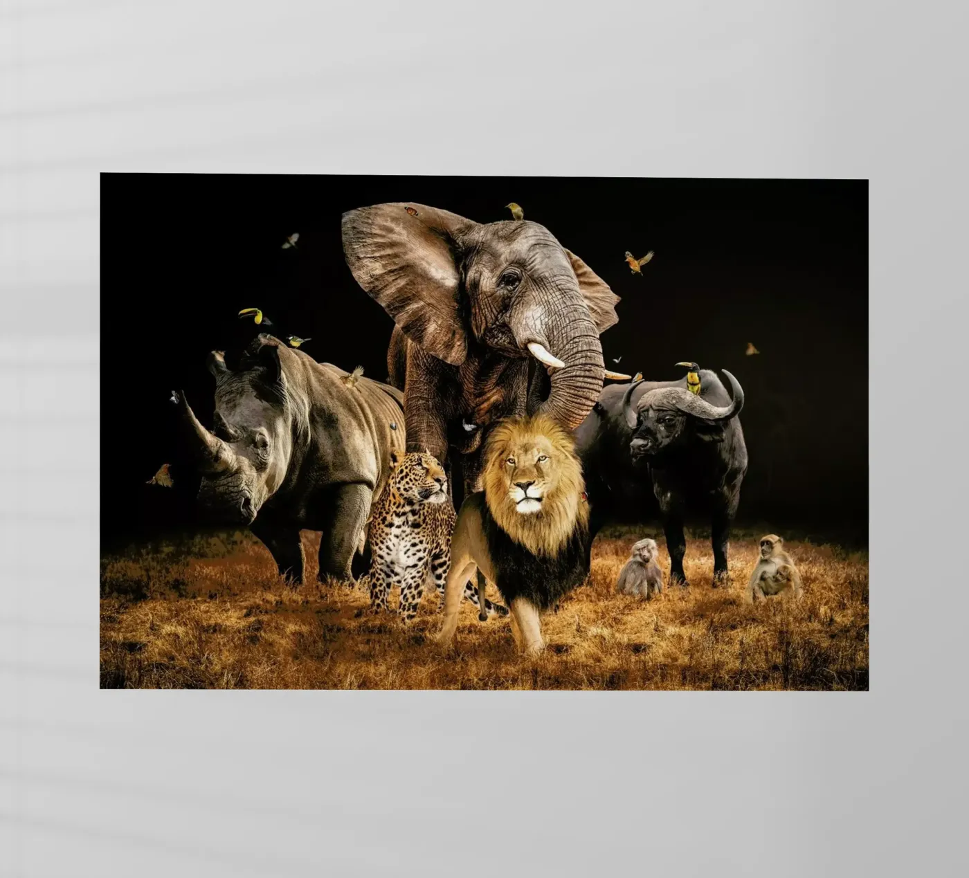 Big 5 pellicola backlit da Wouter Rikken