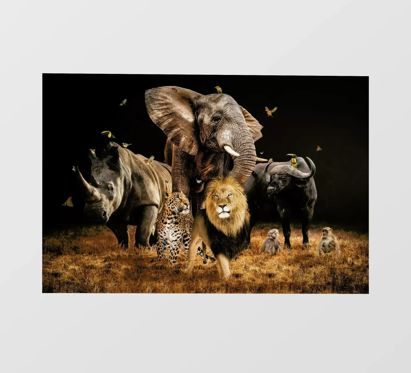 Big 5 pellicola backlit da Wouter Rikken