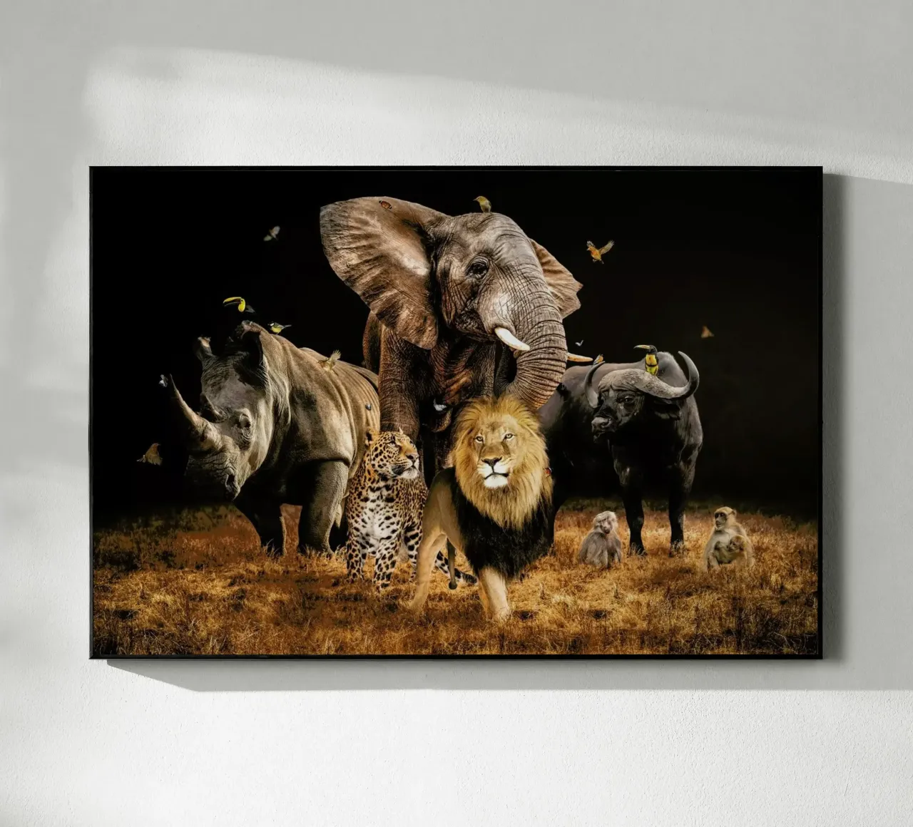 Big 5 plexiglass da Wouter Rikken