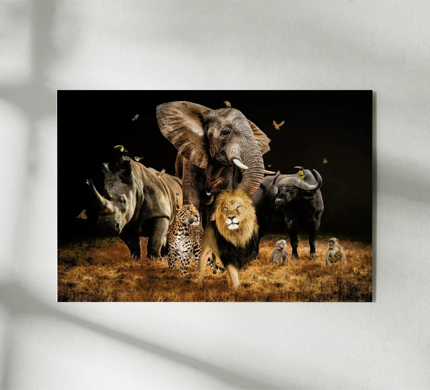 Big 5 plexiglass da Wouter Rikken