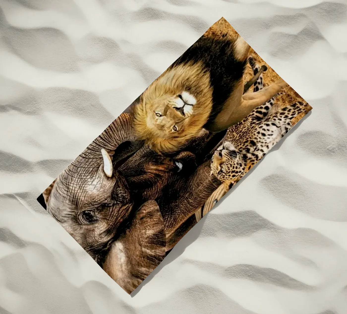 Big 5 telo mare da Wouter Rikken