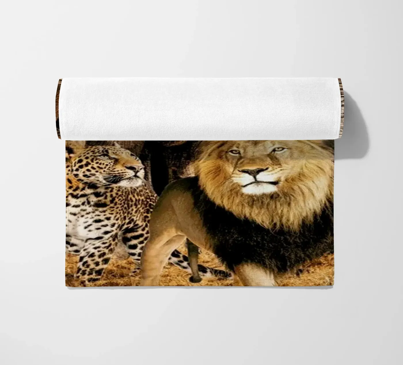 Big 5 telo mare da Wouter Rikken