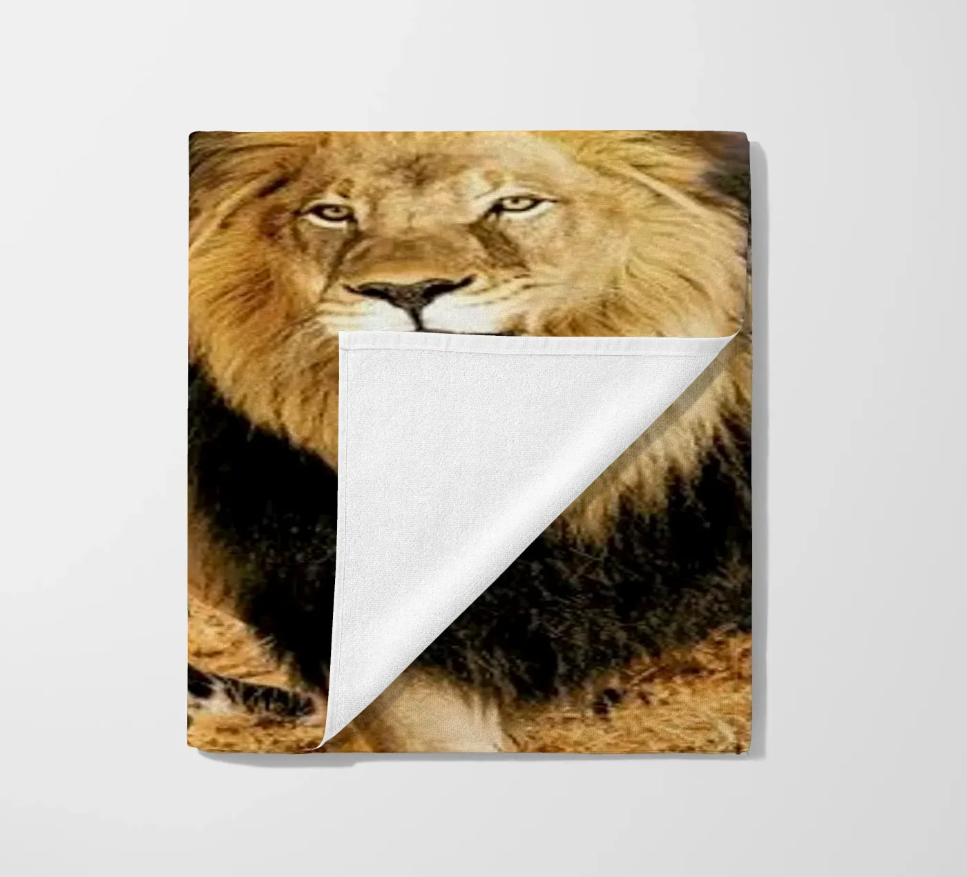 Big 5 telo mare da Wouter Rikken