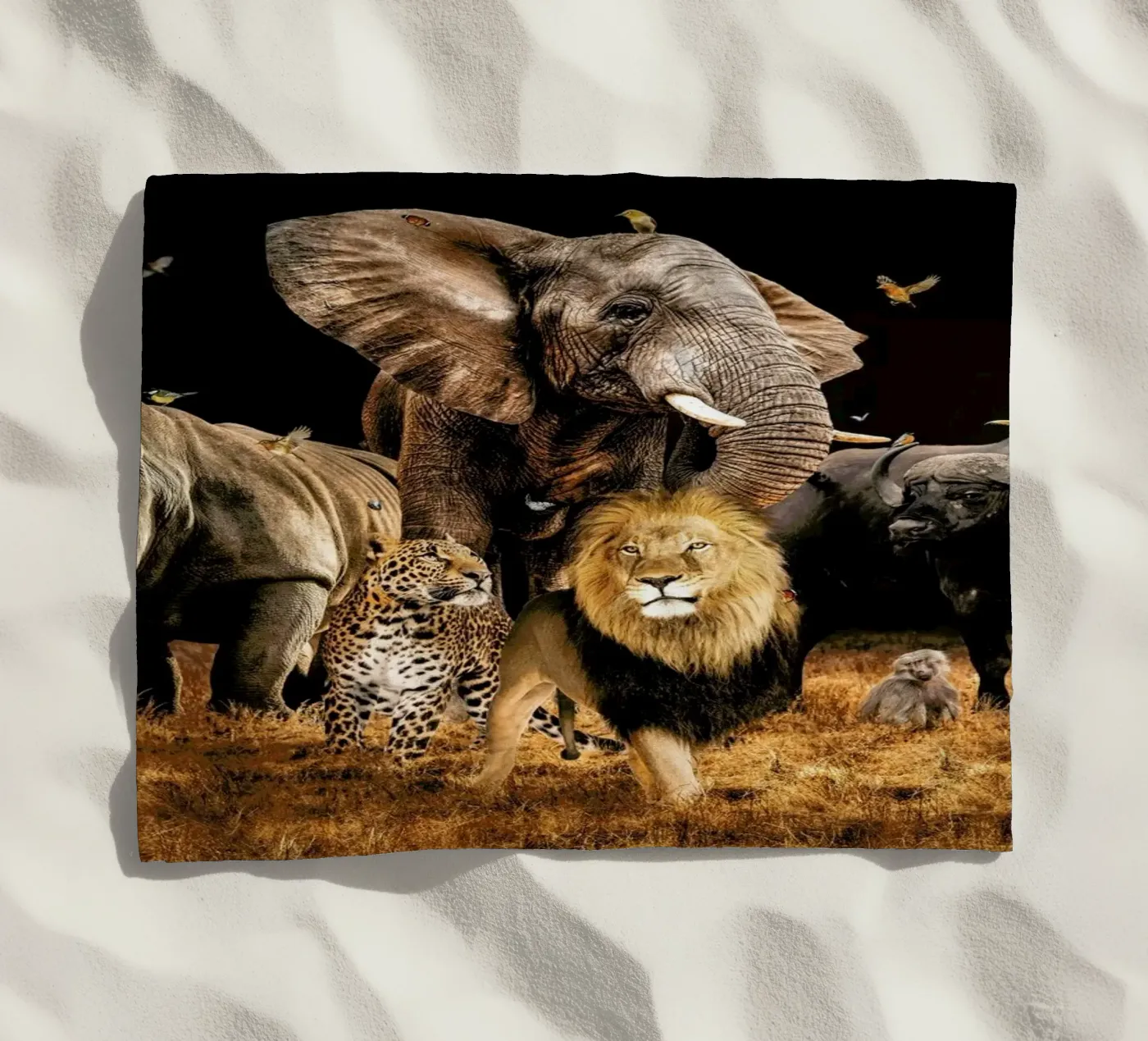 Big 5 telo mare da Wouter Rikken