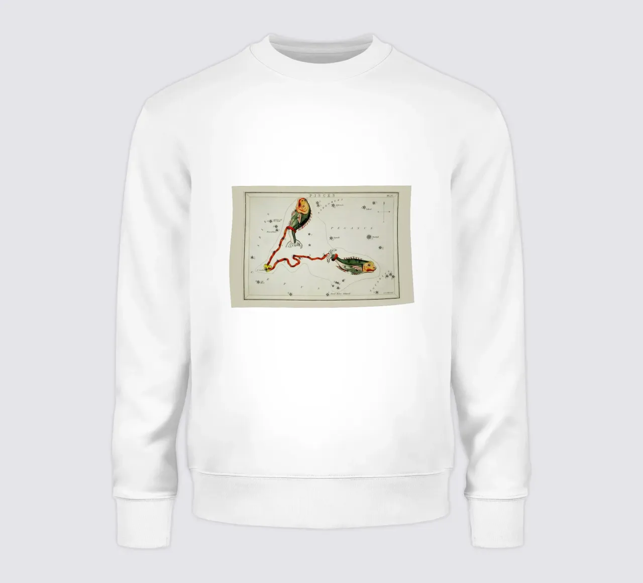 Pisces sweatshirt by Vintage by JUNIQE