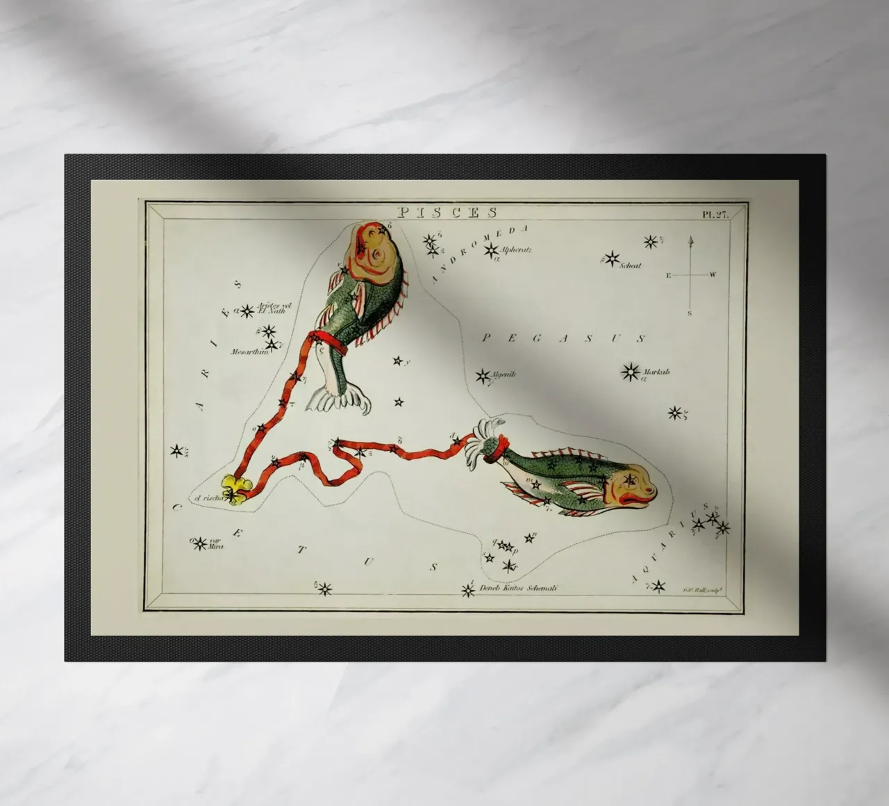 Pisces zerbino da Vintage by JUNIQE