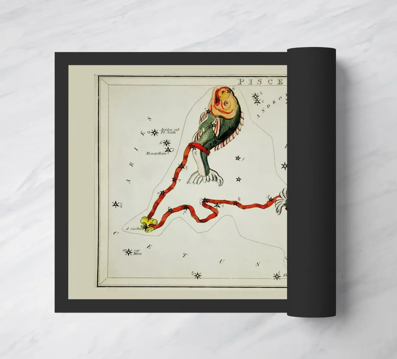 Pisces zerbino da Vintage by JUNIQE