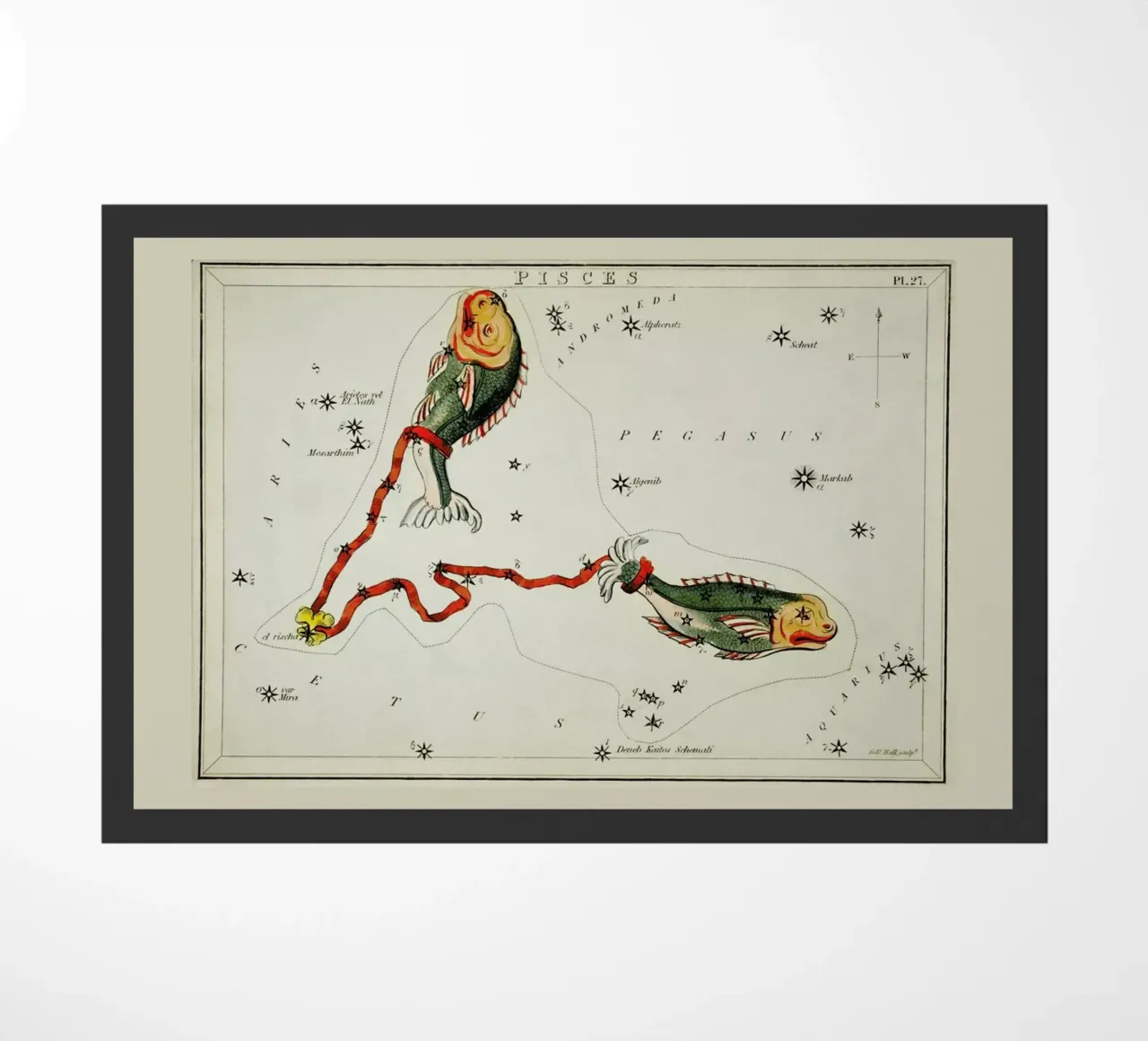 Pisces zerbino da Vintage by JUNIQE