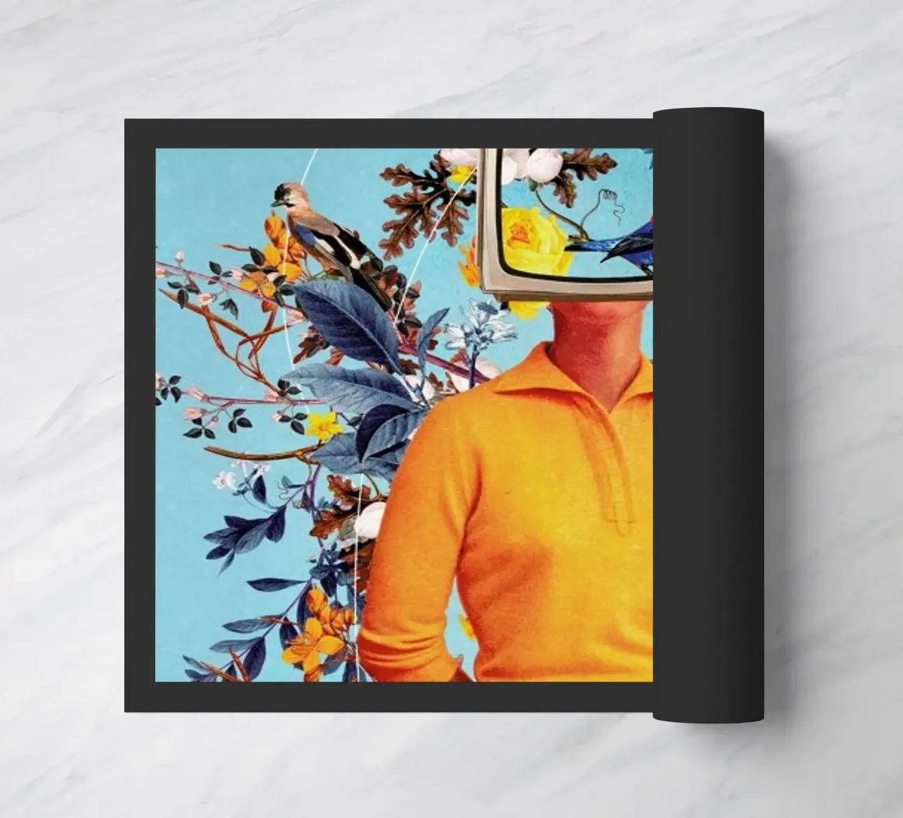 Don't Feed The Monitors With Your Dreams zerbino da Frank Moth