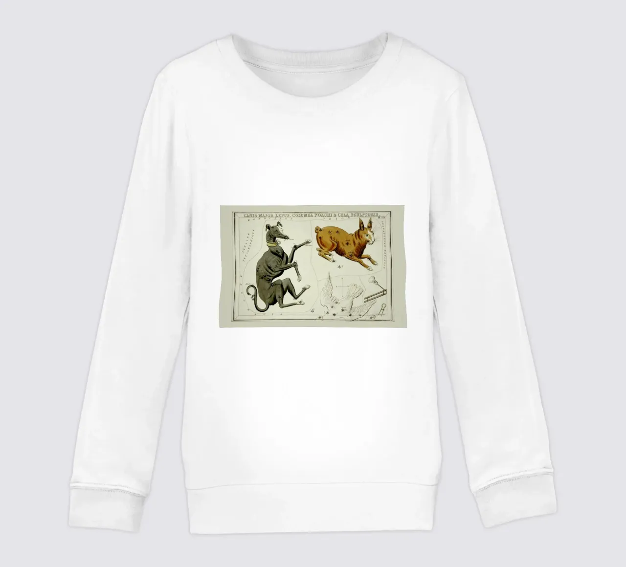Canis Major felpa bambino da Vintage by JUNIQE