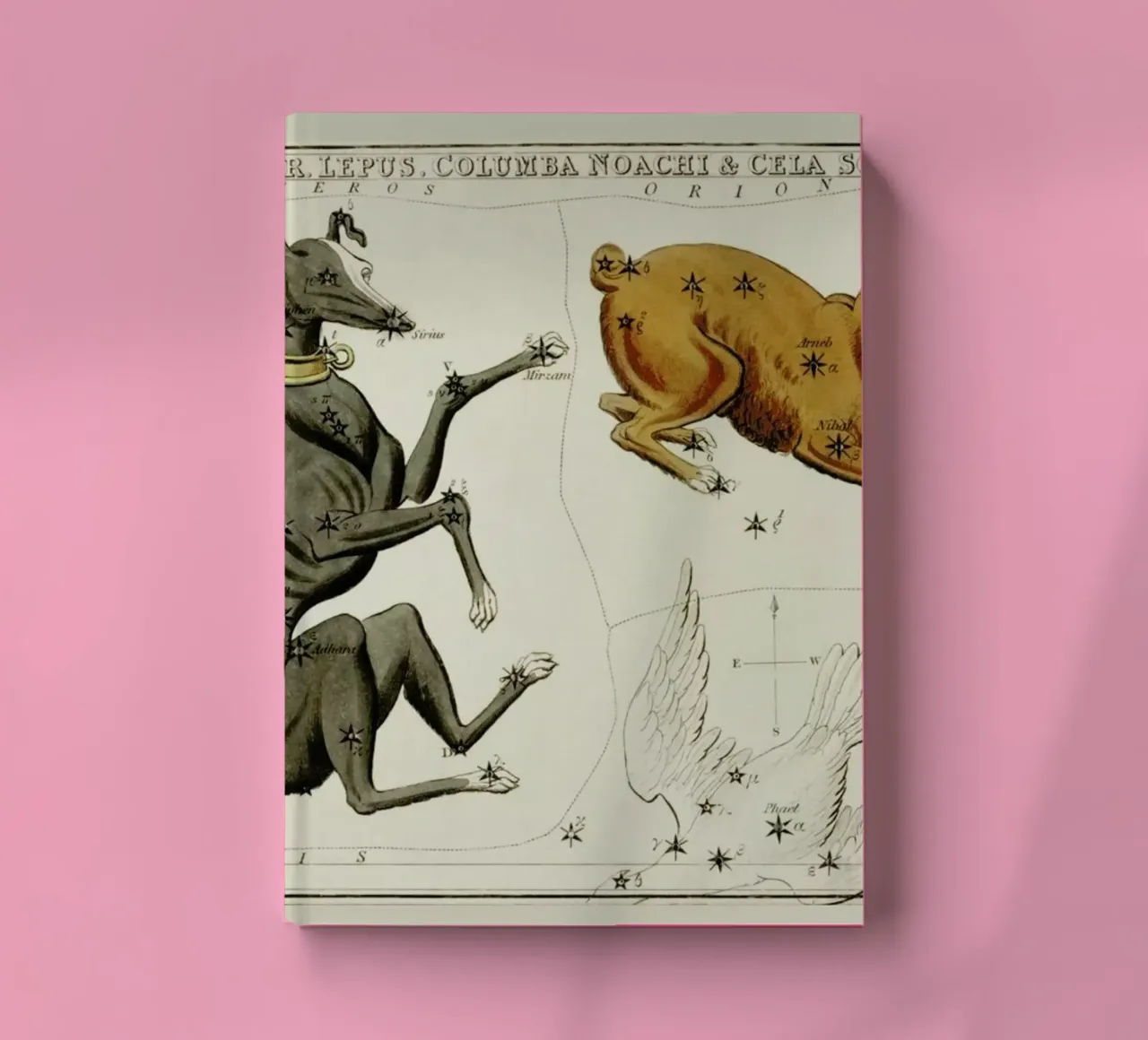 Canis Major Notizbuch von Vintage by JUNIQE