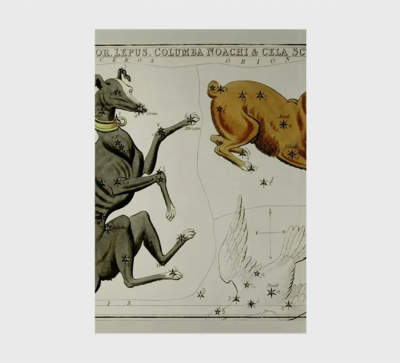 Canis Major Notizbuch von Vintage by JUNIQE