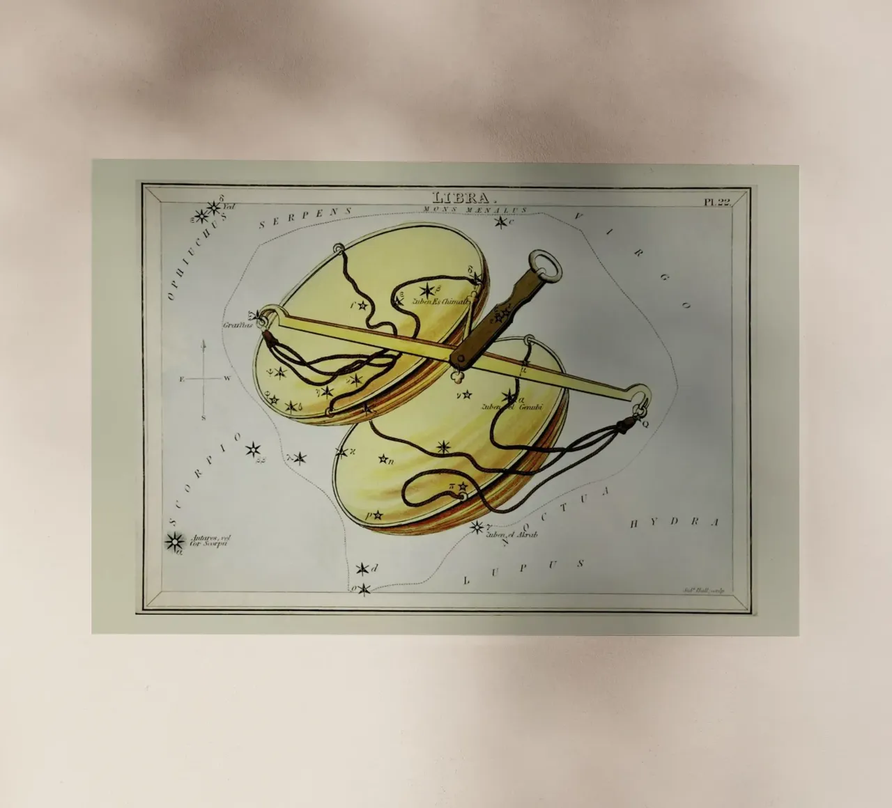 Libra pellicola backlit da Vintage by JUNIQE