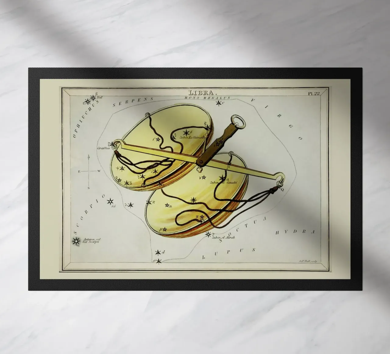 Libra zerbino da Vintage by JUNIQE