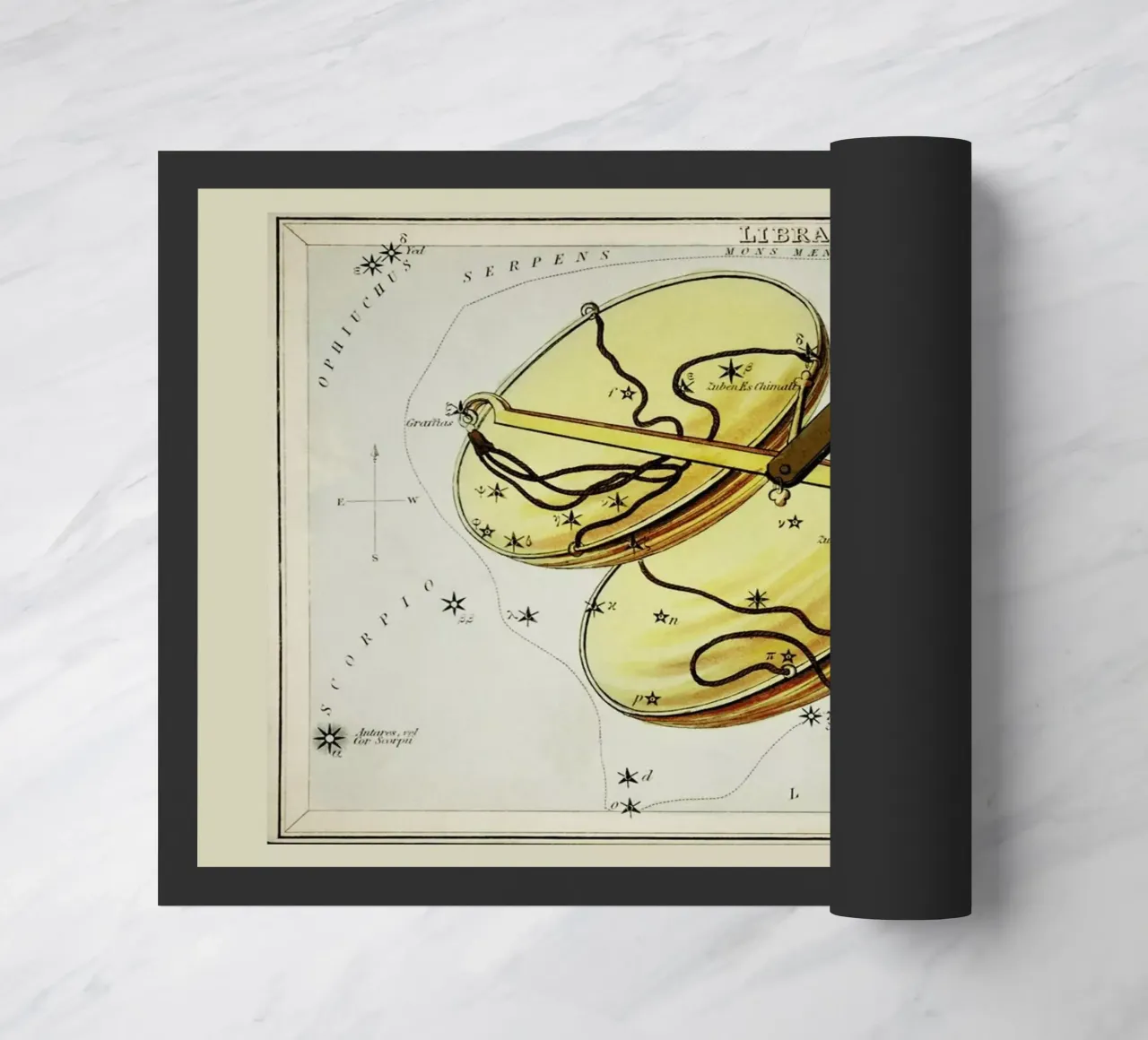 Libra zerbino da Vintage by JUNIQE