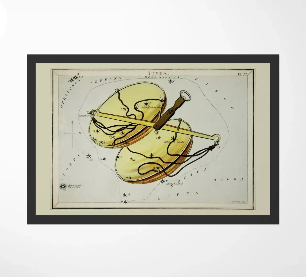 Libra zerbino da Vintage by JUNIQE