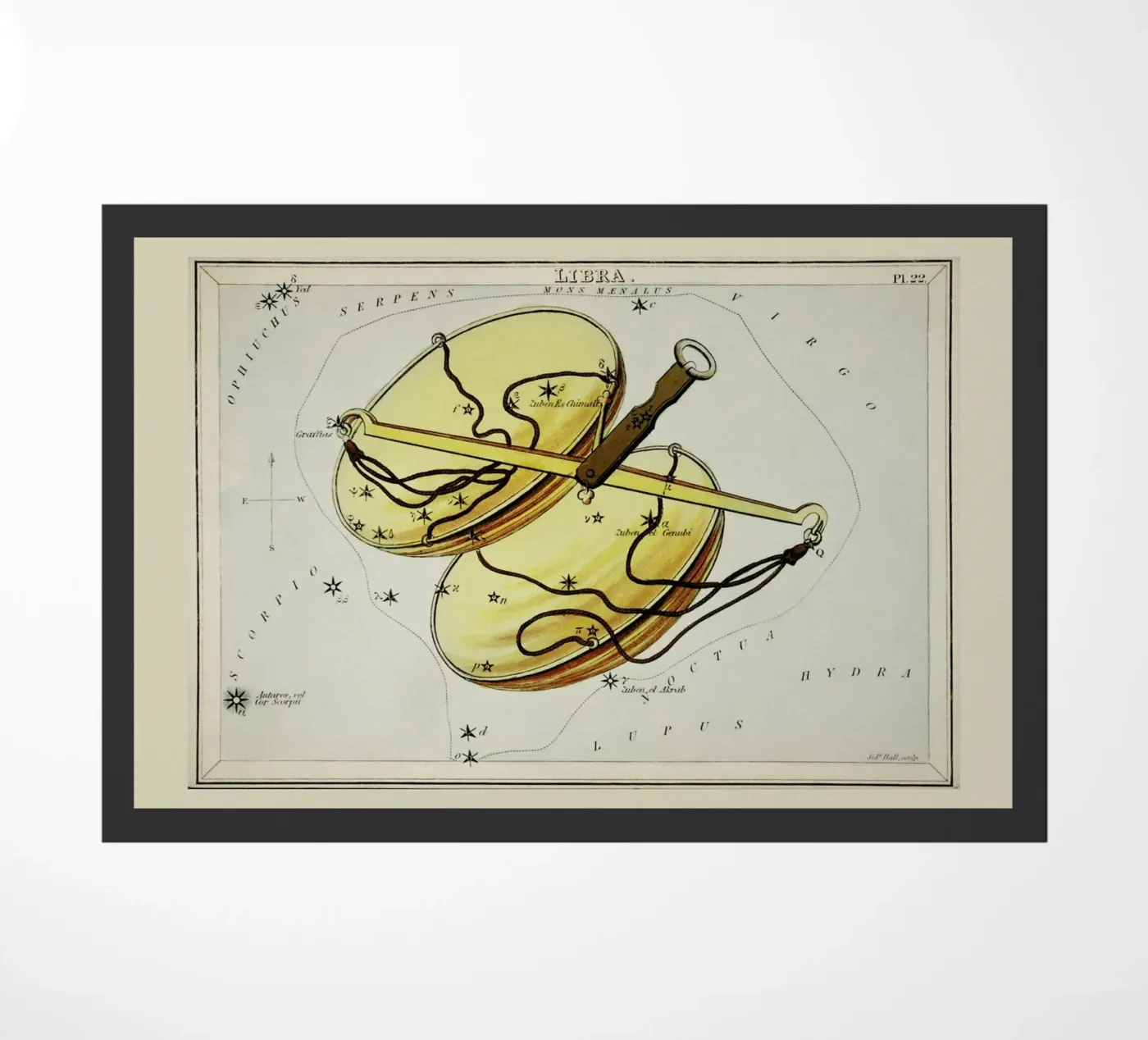 Libra zerbino da Vintage by JUNIQE