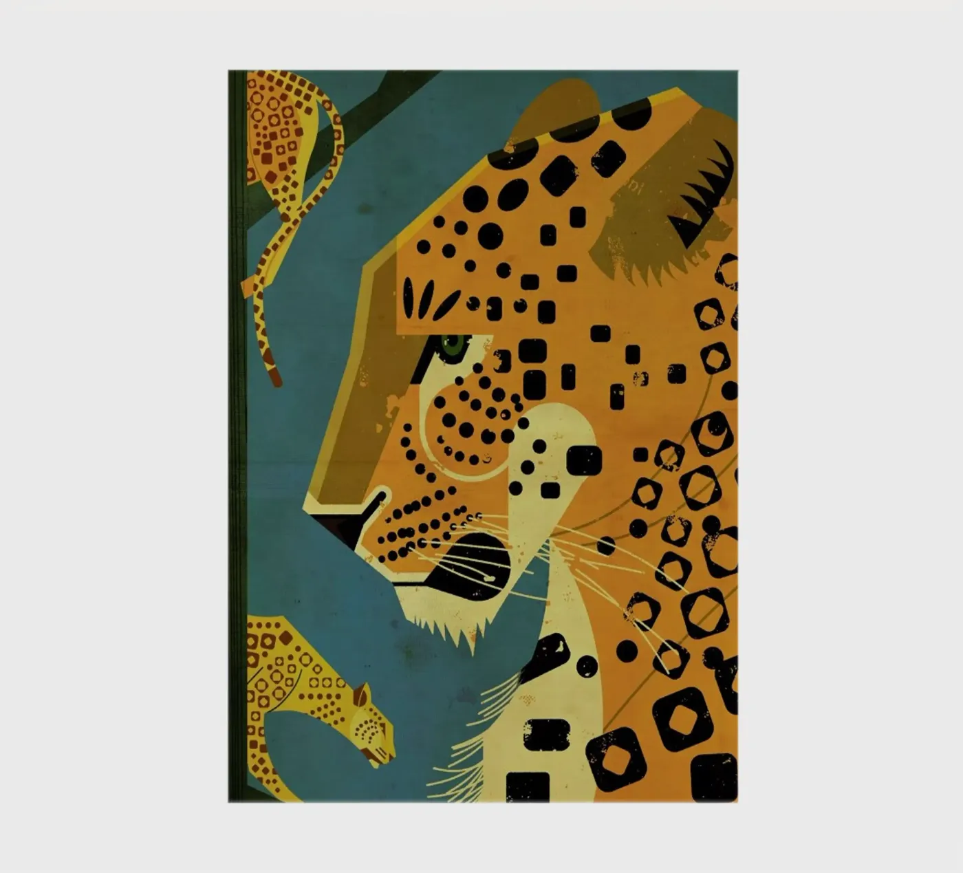 Leopard diario da Dieter Braun