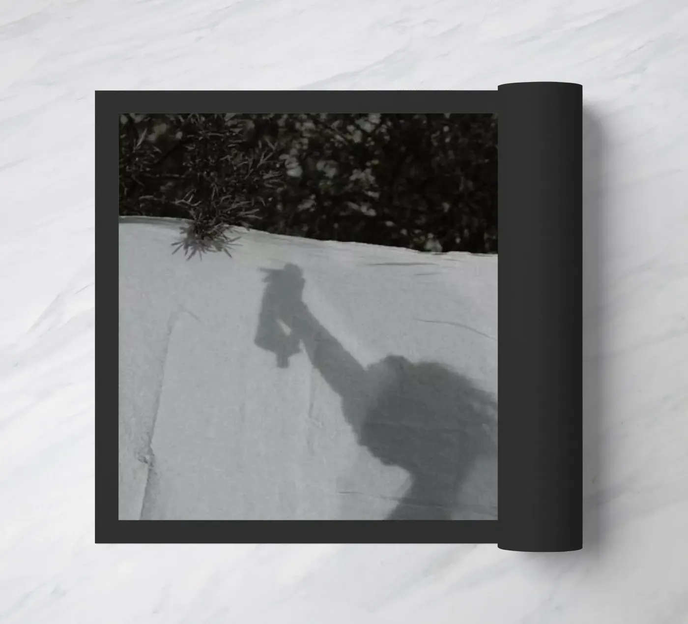 Summer Wind zerbino da Chris Abatzis