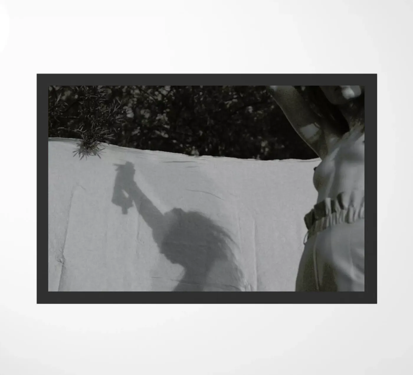 Summer Wind zerbino da Chris Abatzis