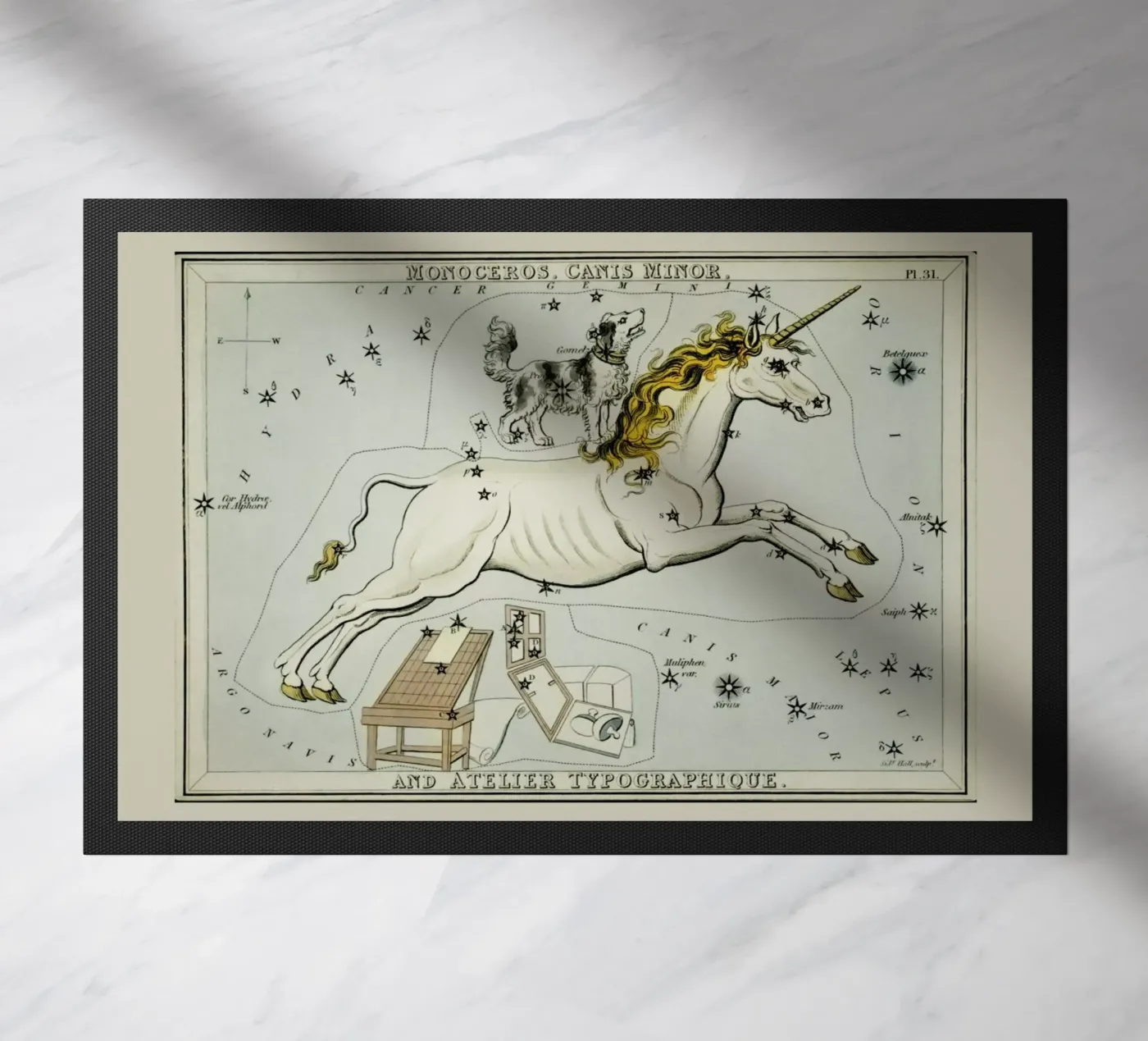 Monoceros zerbino da Vintage by JUNIQE