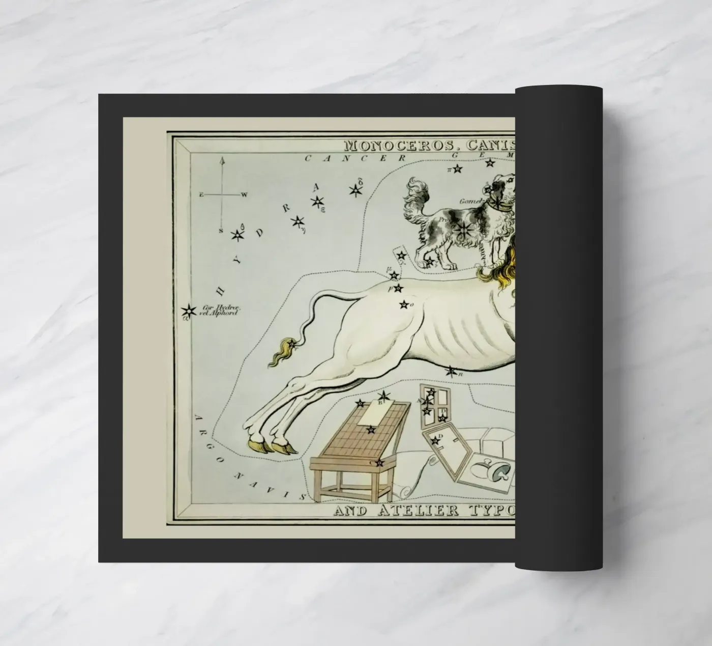 Monoceros zerbino da Vintage by JUNIQE