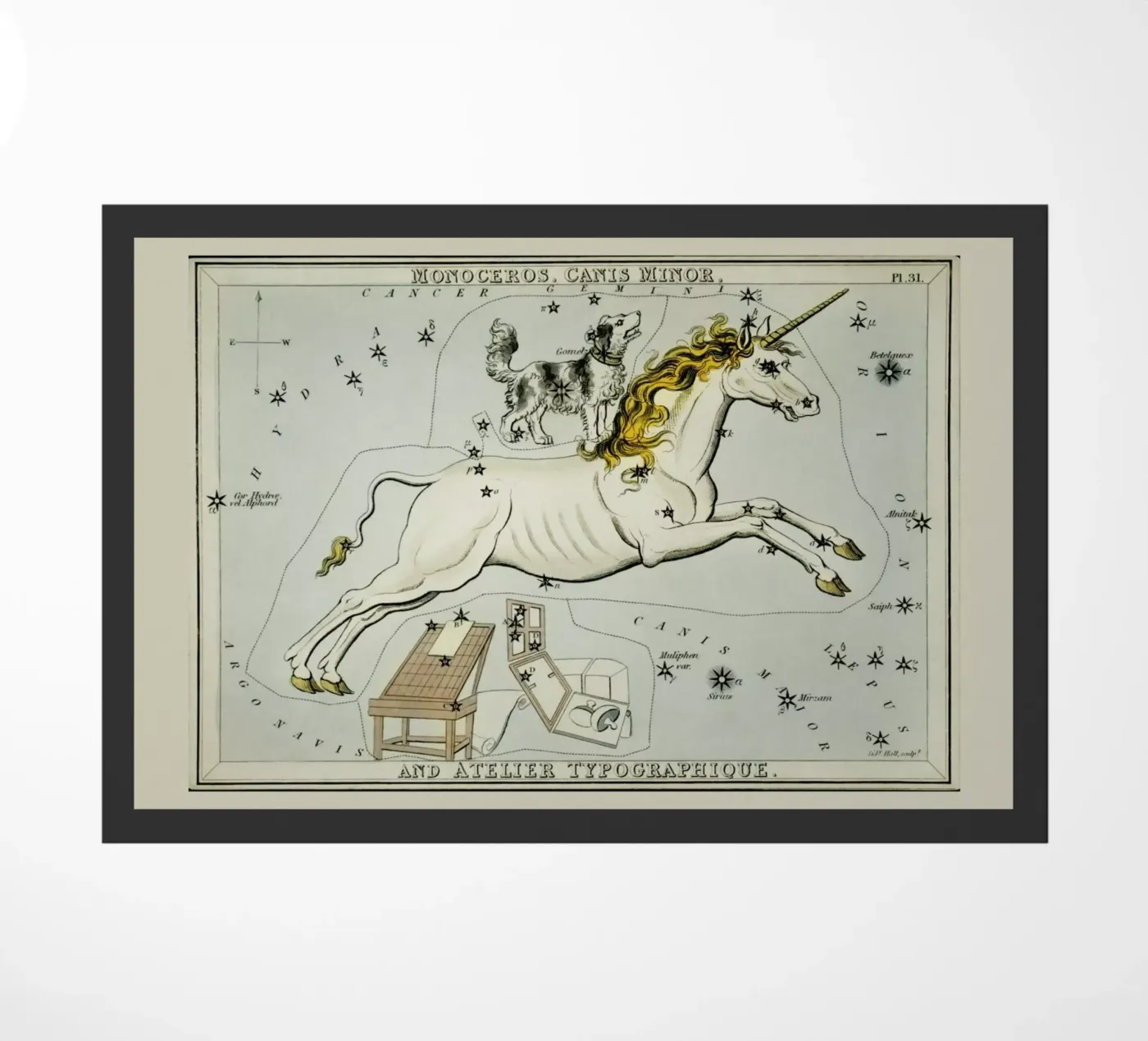 Monoceros zerbino da Vintage by JUNIQE