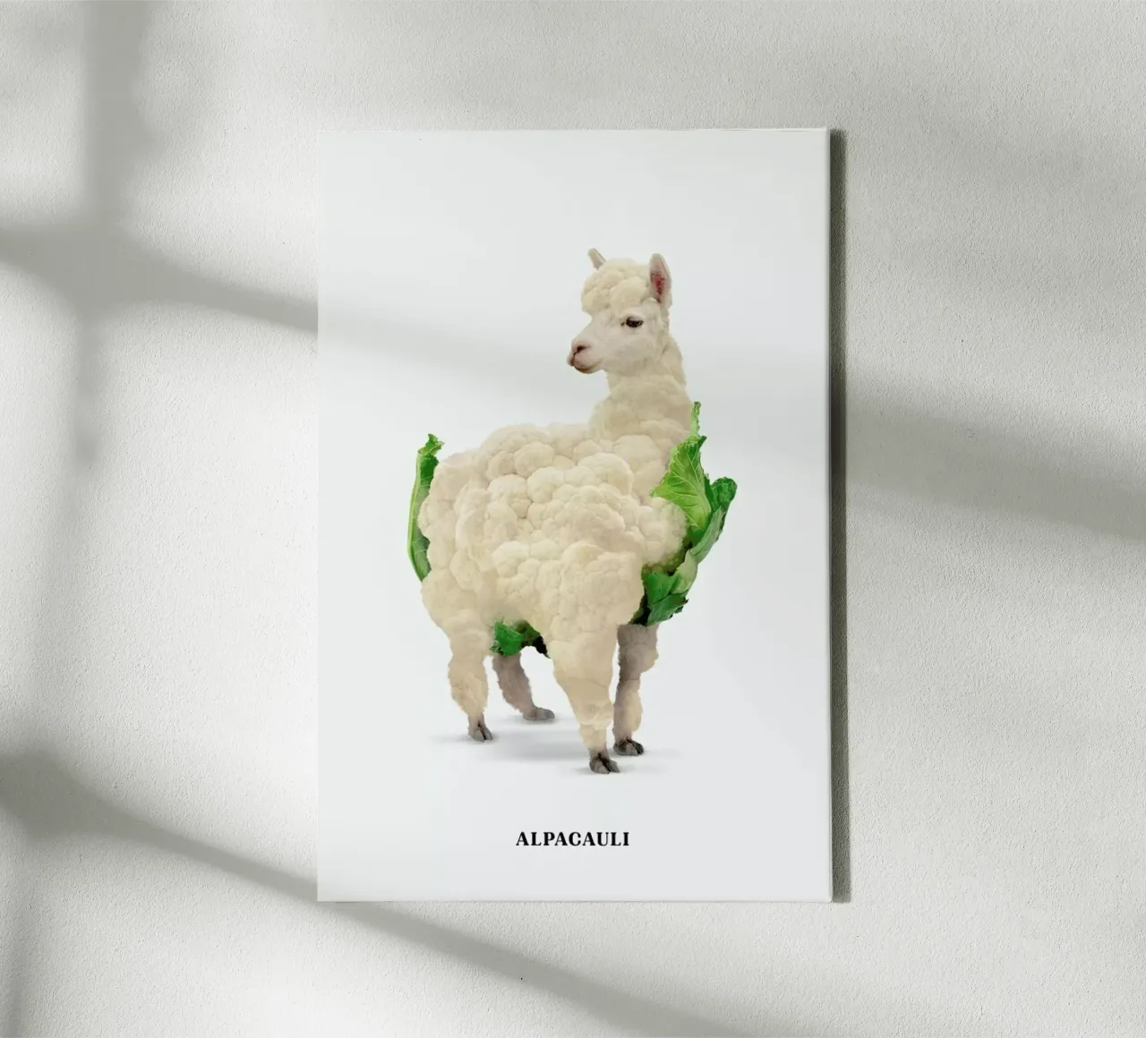 Alpacauli tela con Cornice a cassetta da Jonas Loose