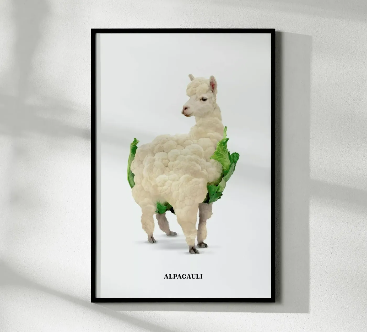 Alpacauli poster da Jonas Loose