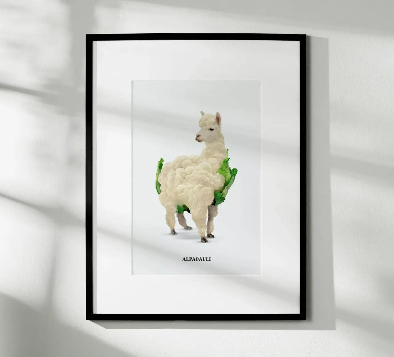 Alpacauli poster da Jonas Loose
