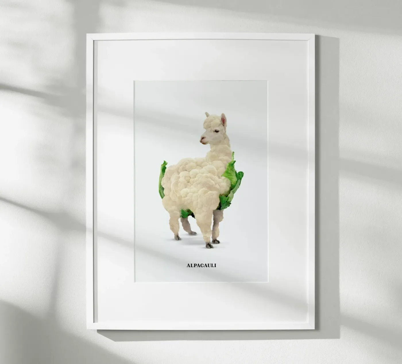 Alpacauli poster da Jonas Loose