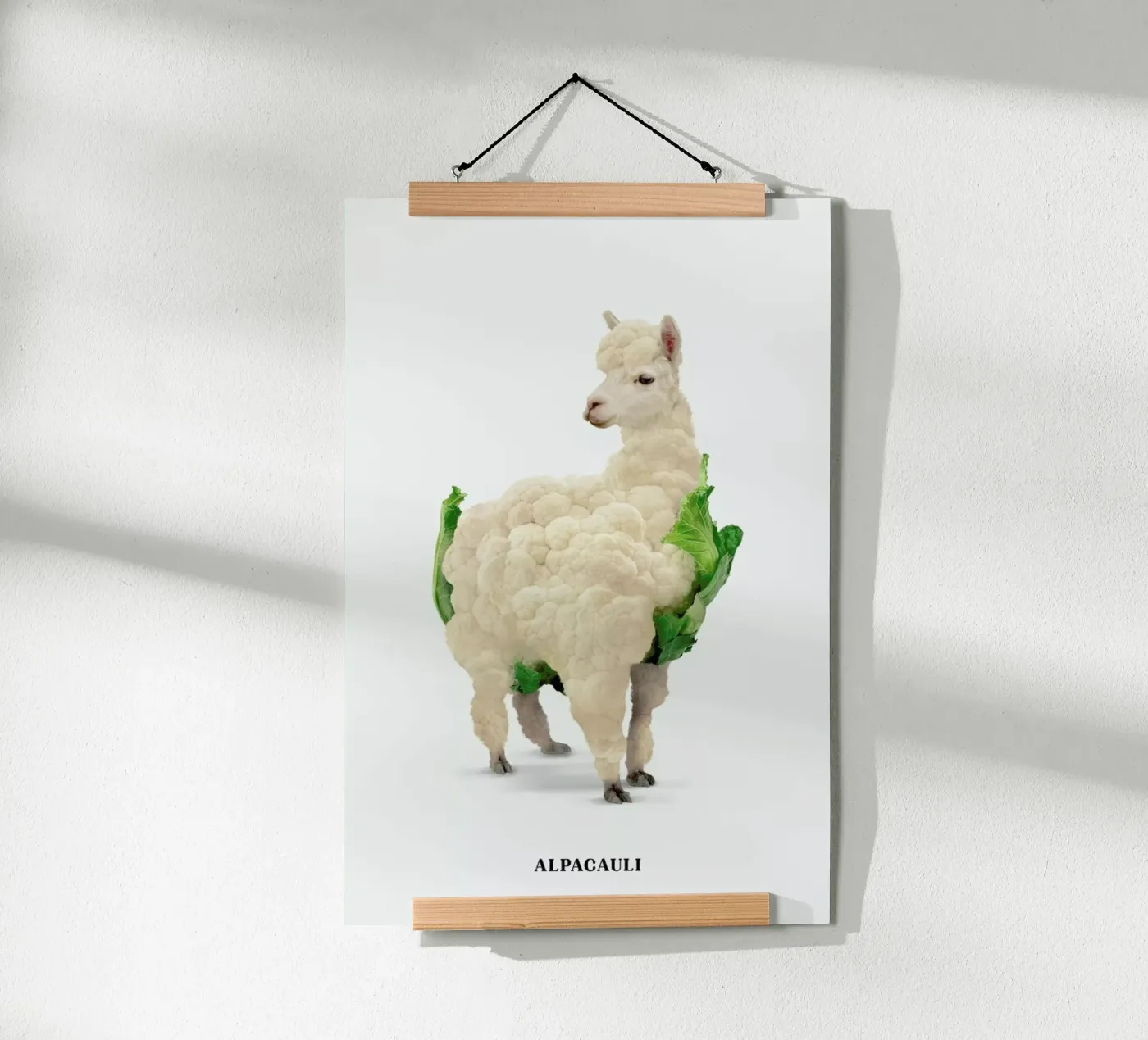 Alpacauli poster da Jonas Loose