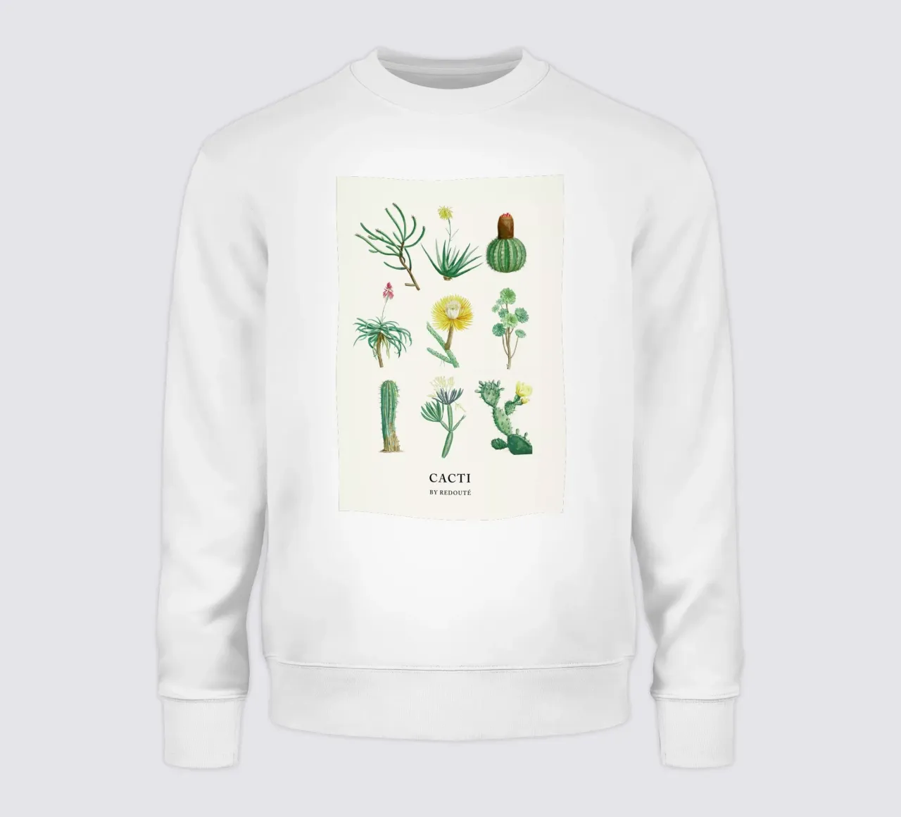 Cacti by Redouté felpa da Flora & Fauna