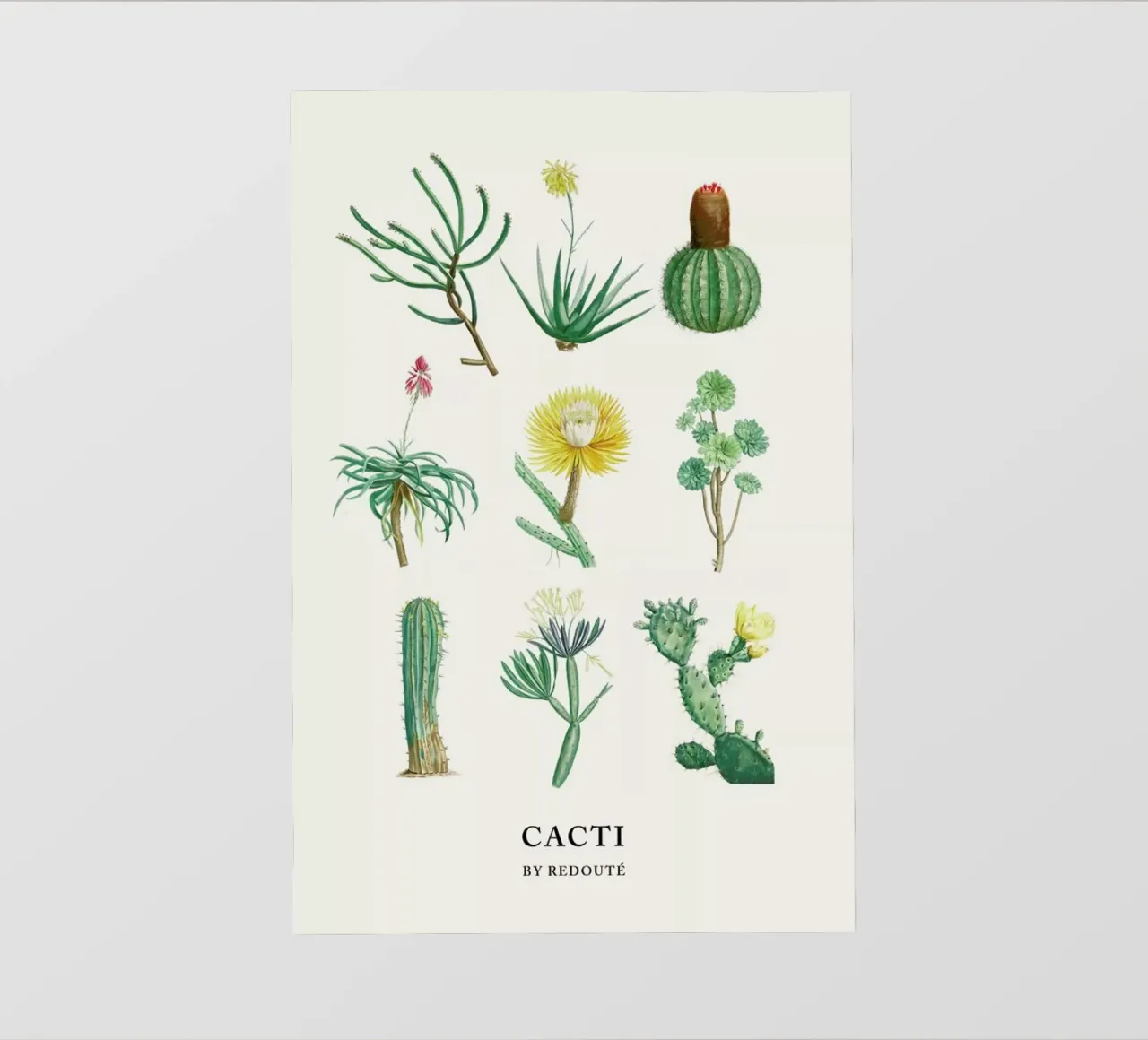 Cacti by Redouté telo in pvc da Flora & Fauna