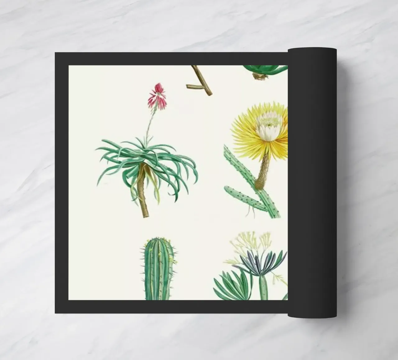 Cacti by Redouté zerbino da Flora & Fauna